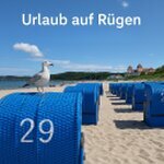 Rügen